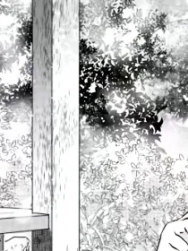 神雕侠侣之羽化登仙