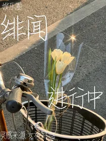 娱乐圈：绯闻进行中