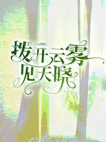 主二代：拨开云雾见天晓