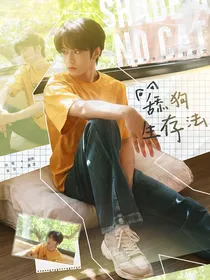 TNT：舔狗生存法