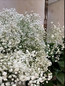我的异世生活与别人的不一样？