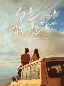白色橄榄树：逐光