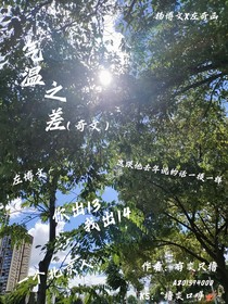 奇文（小暖）