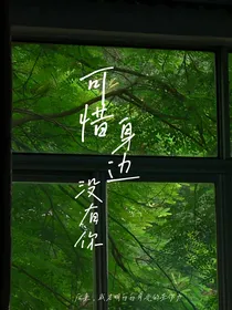 可惜身边没有你