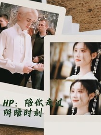 HP：陪你走过阴暗时刻