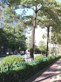 回忆的胶卷