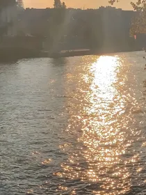 许年瑶叶