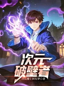 另类宝可梦：次元破壁者