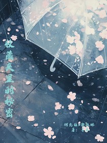 收藏夹里的秘密