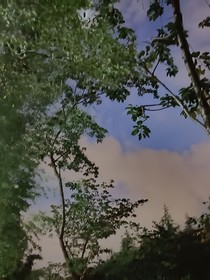 地球人类观察笔记