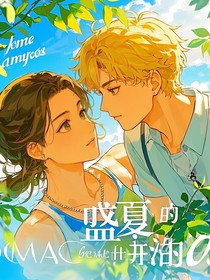 盛夏的归属