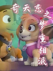 汪汪队立大功之梦重相泯