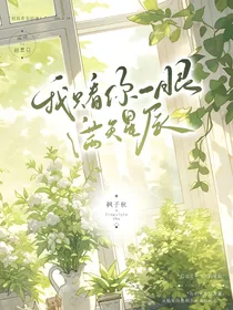 我只看你一眼，满天星辰