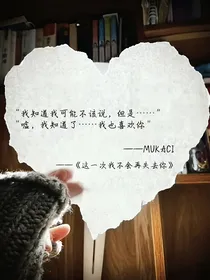 这一次我不会再失去你