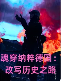 魂穿纳粹德国：改写历史之路