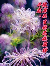 斗龙：彼岸双生的兄妹羁绊