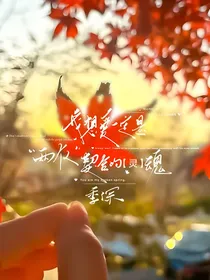 综影：林深见鹿