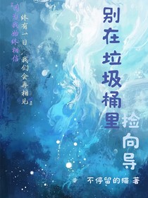 别在垃圾桶里捡向导