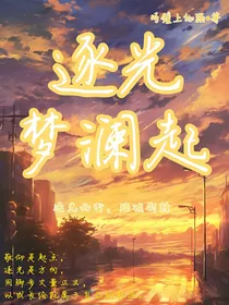 逐光梦澜起