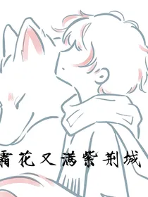 霜花又满紫荆城