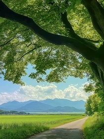 夏风于你