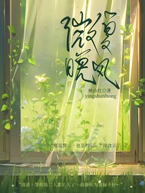 微夏晚风