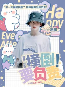 左航：撞倒要负责！