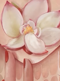 藕饼的故事