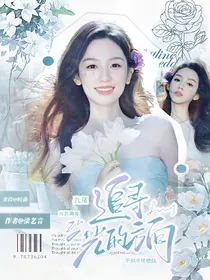 九尾：追寻光的方向