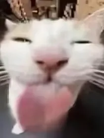 我爱画画你爱吗