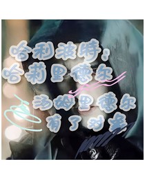 哈利波特：哈莉里德尔并汤姆里德尔有了对象