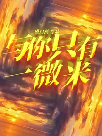 与你只有一微米