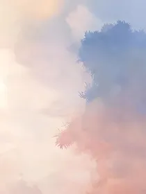 楚乔传：归安