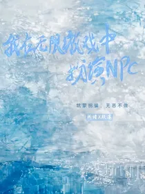 我在无限游戏中扮演NPC