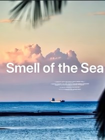 海风的气味