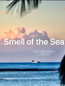 海风的气味