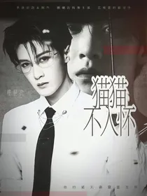 猎罪图鉴2：猫猫不入怀