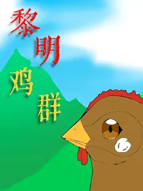 黎明鸡群