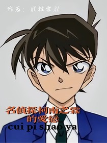 名侦探柯南之霖