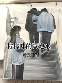 柠檬味汽泡水