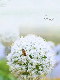 喝凉水（冷水与热茶）