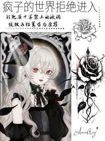 凹凸：疯子的世界拒绝进入