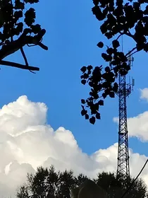 追爱迷途