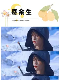 终极笔记之寄余生