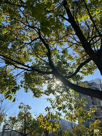 居夏而夏