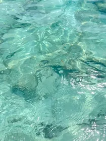 鬼灭：缘一出来吧