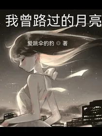 我曾路过的月亮