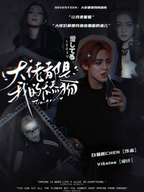 SEVENTEEN：大佬都是我舔狗