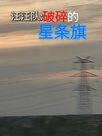 PPT：破碎的星条旗