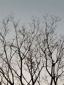 哪吒乙女：师叔是不能当妻子的啊